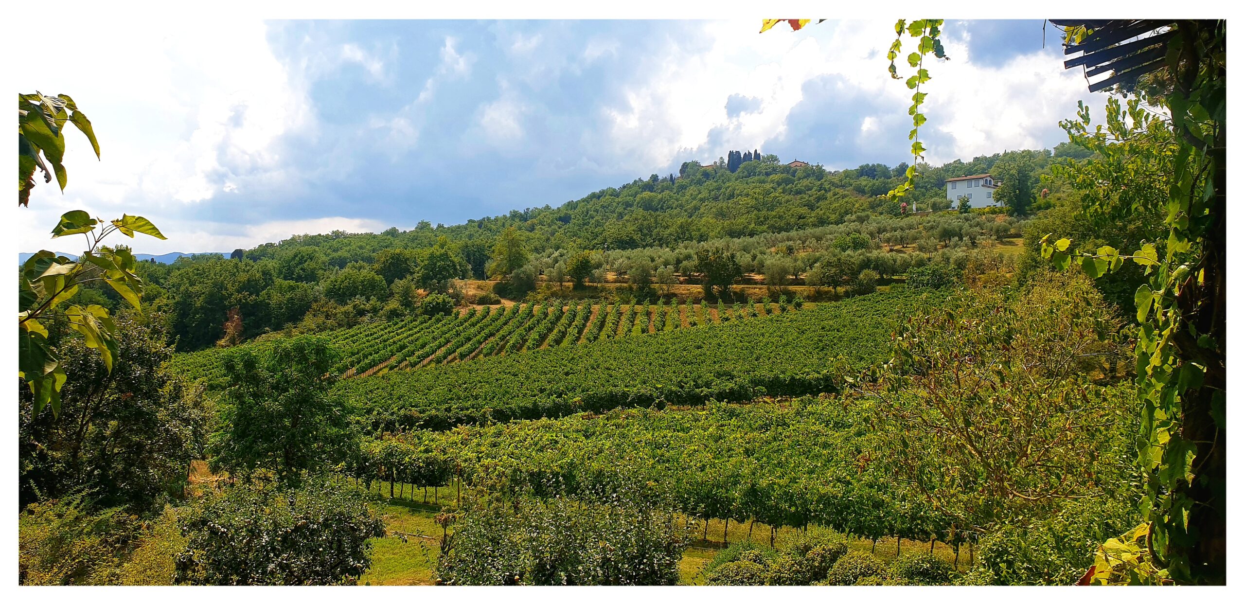 20190823_173139-01 (1)